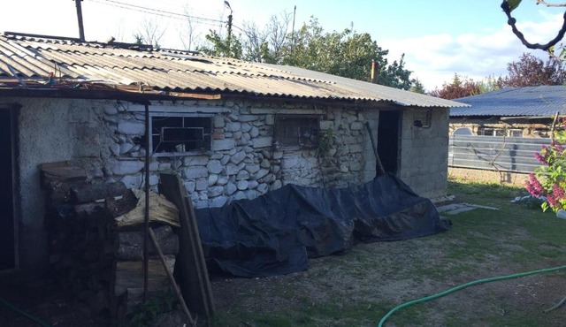 Rabbit Guest house