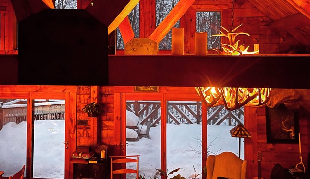 Rare private cabin retreat surrounded by 1700 acres of woods, yet close to town. in Upper Black Eddy