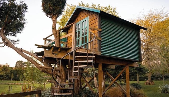 Romantic Tranquil Tui Treehouse in Aongatete