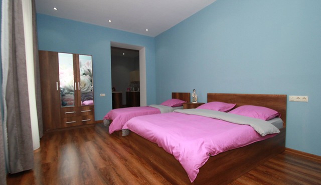 Rose apartment in Tbilisi(+transfer +tours)