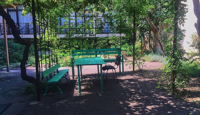Rose garden house in Tbilisi