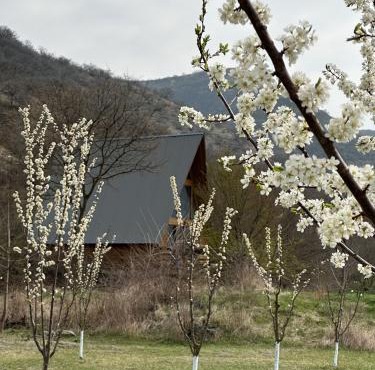 Samshvilde Hideaway
