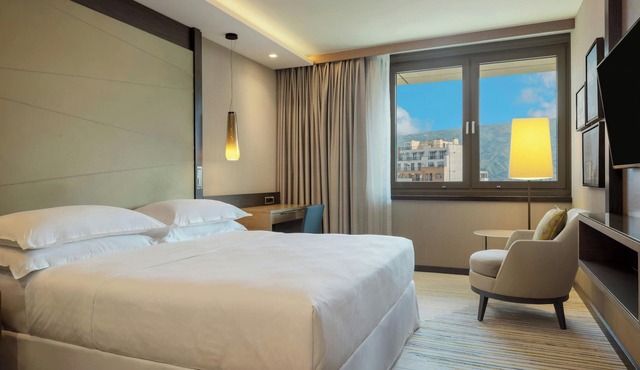 Sheraton Grand Tbilisi Metechi Palace