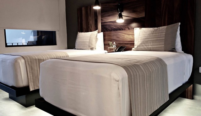 Six Two Four Hotel in San José del Cabo