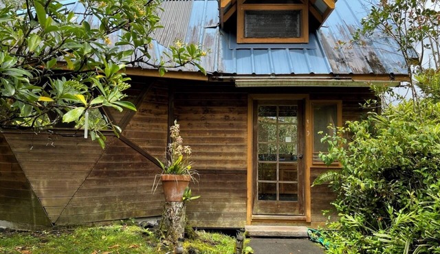 Solar powered bohemian loft cottage with birds, lizards, and frogs in Keaau