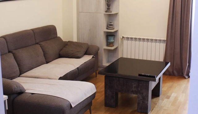 Spacious 1-bedroom apartment in wonderful the center of Tbilisi with WiFi, AC
