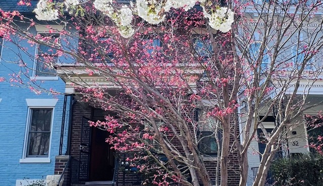 Spacious four-bed, three-and a half- bath townhome in Washington DC. in Washington