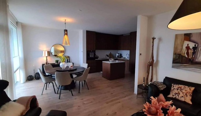 Spectacular apartment, all new with fantastic view in Reykjavík