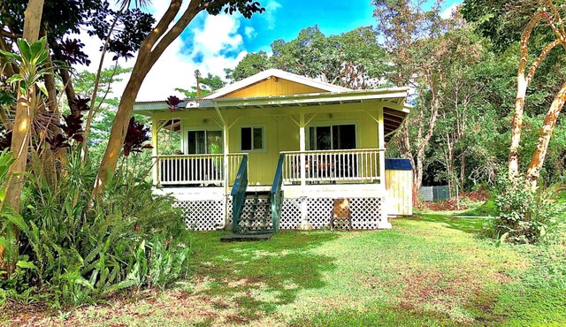Sunset Suzy's tropical retreat! One free night! After 7 nights. in Keaau