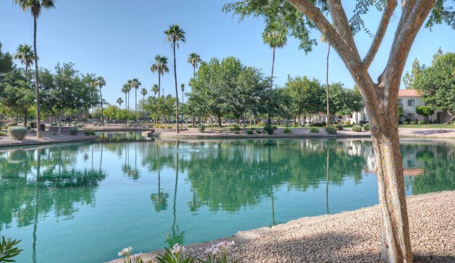 Superstition Lakes Condo, A+ Golf View, Comm Htd POOL & SPA; Walk to Mall & Theater in Mesa