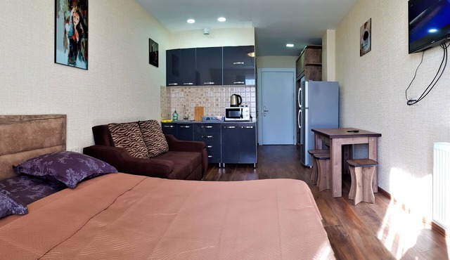 This is a fantastic ski Resort apartment for up to 4 people in New Gudauri.