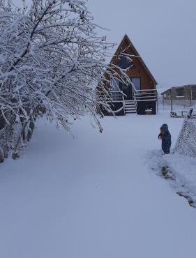 Thomas' Hut