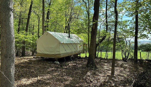 Ultimate Glamping in Hamburg
