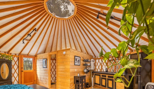 Unique authentic yurt stay near Yosemite National Park in Wishon