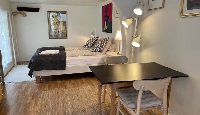 Very nice studio apartment in the city center in RVK