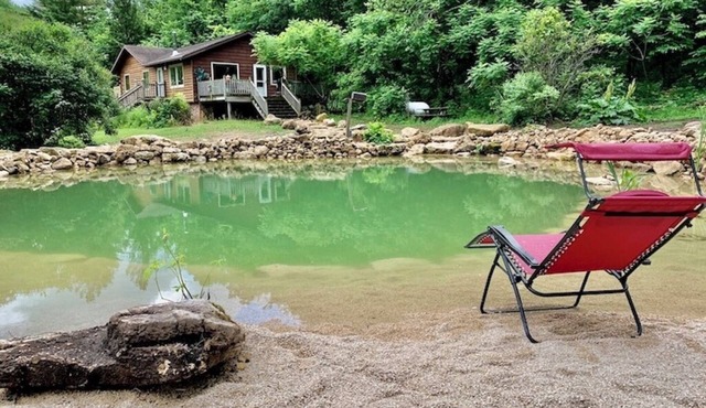 White Pine Cabin With Swimming Pond & Hot Tub Jacuzzi in Lansing