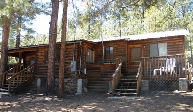 With2Beez Rustic Forest Cabin in Greer