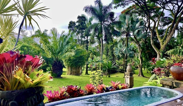 World Class Garden Residence in Pahoa
