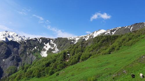 XOSTEL lUKA