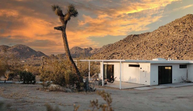 Zebra Shadow Boulder Views, Hot Tub, Sauna in Joshua Tree