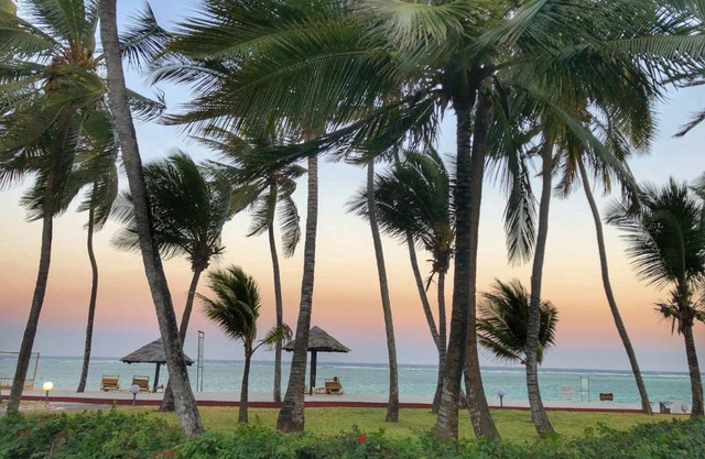 Reef Beach Resort 