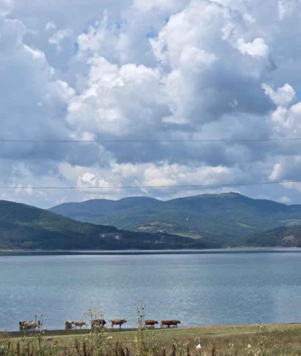 Vedzebi House | Sioni Cottage 888
