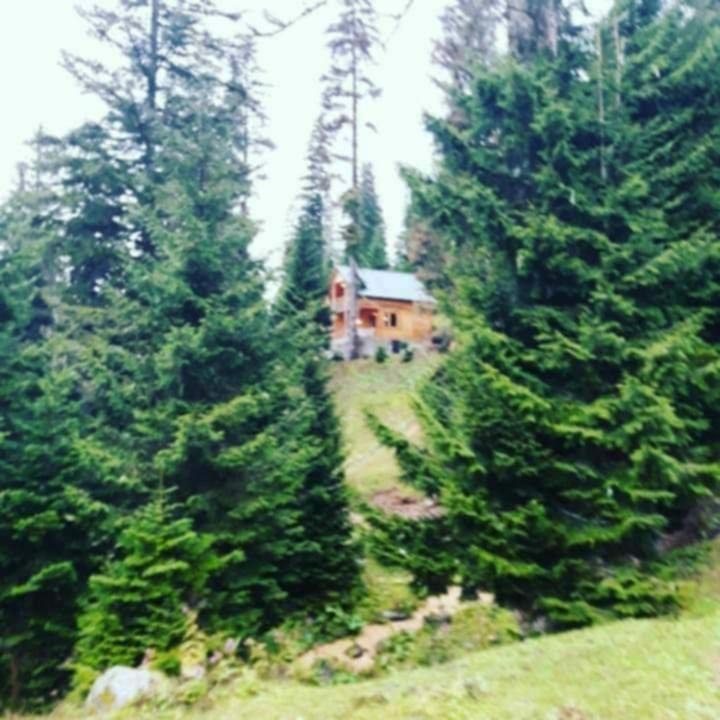 Bakhmaro Villa | BBR House
