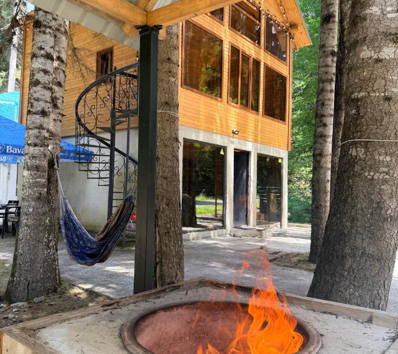 Racha-Lechkhumi and Lower Svaneti Resort | მარტო ტყეში-alone in the forest