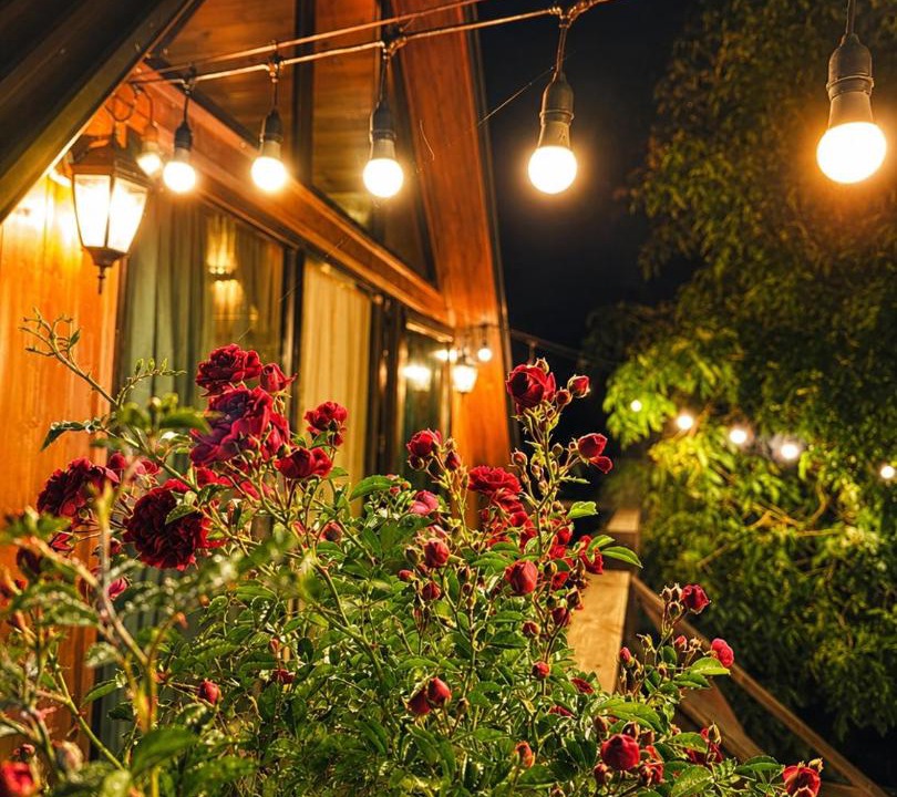 Tsalka Ski Chalet | Tasia's Cottage
