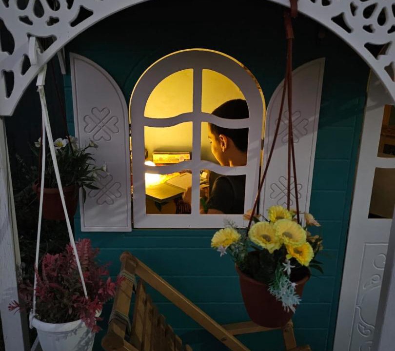 Mirzaani House | Green Owl