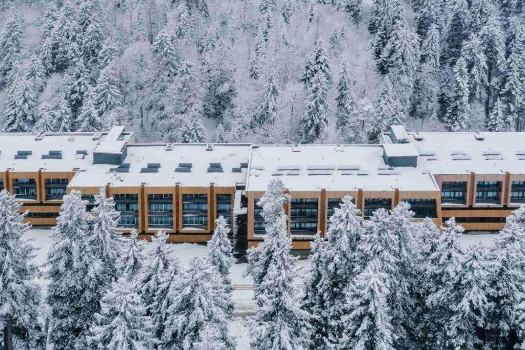 Imereti Apartment | Premium Ski Retreat - Steps from Kokhta Gora