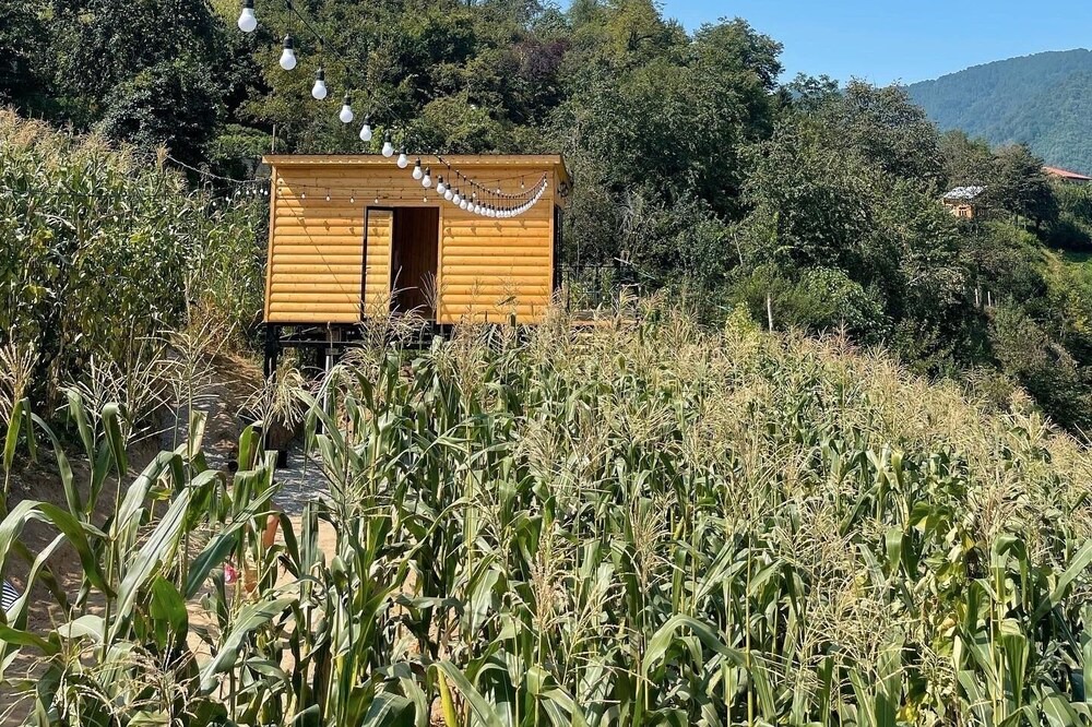 Photo of Outdoor in Khelvachauri