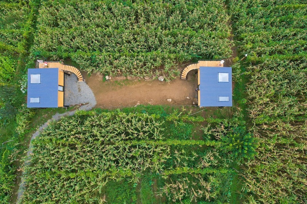 Photo of Outdoor in Khelvachauri