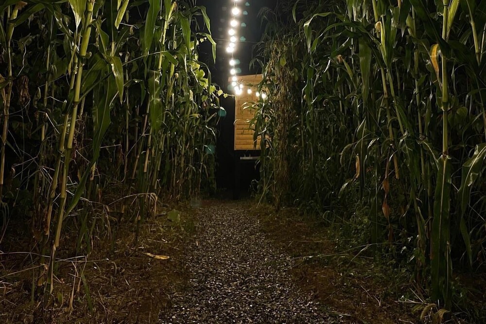 Photo of Outdoor in Khelvachauri
