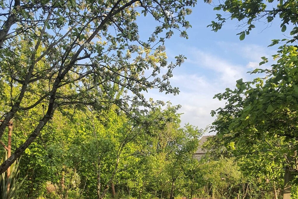 Photo of Outdoor in Kobuleti