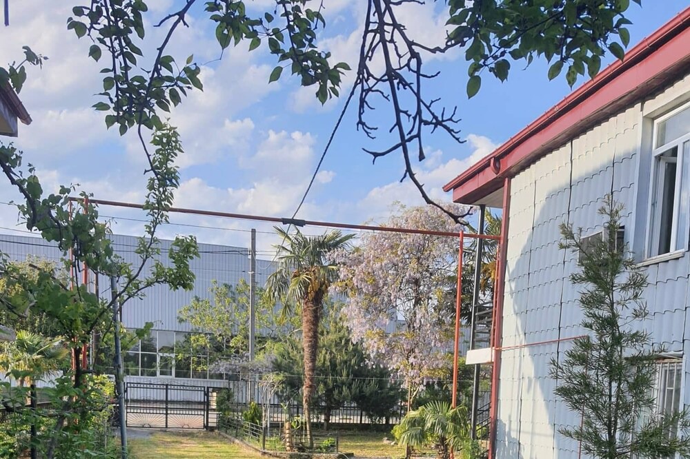 Photo of Outdoor in Kobuleti