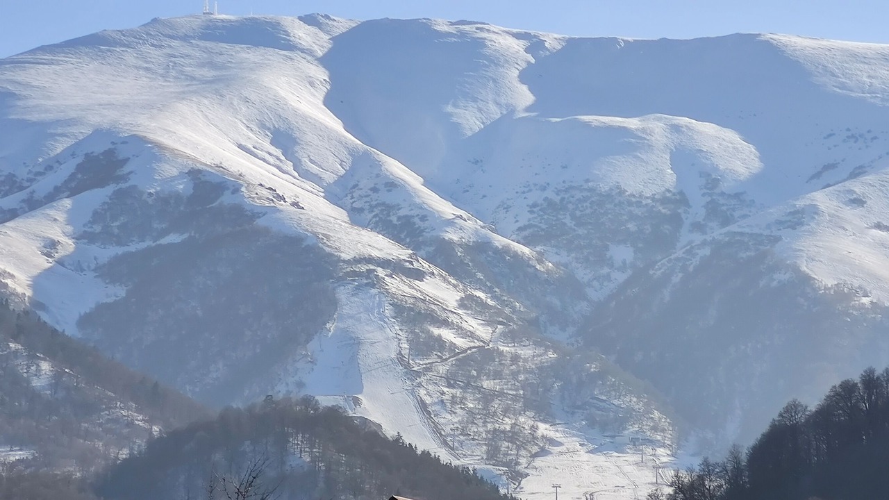 Photo of Outdoor in Bakuriani