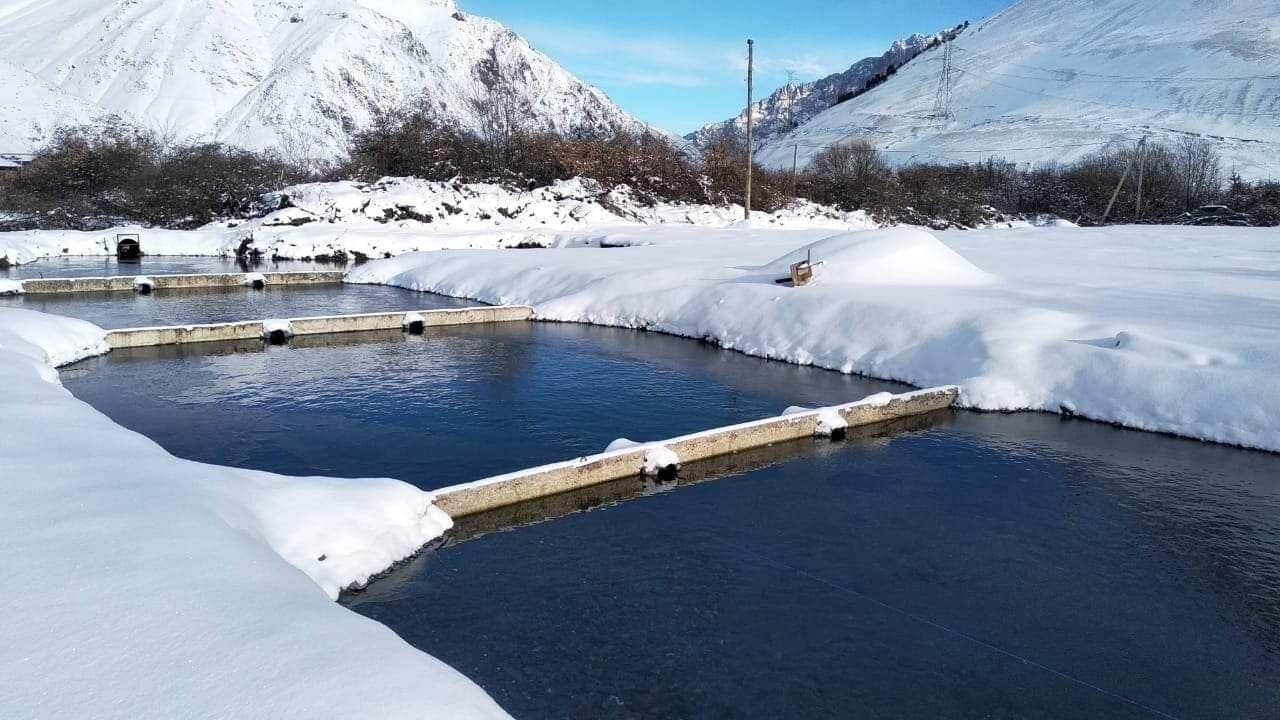 Photo of Outdoor in Stepantsminda