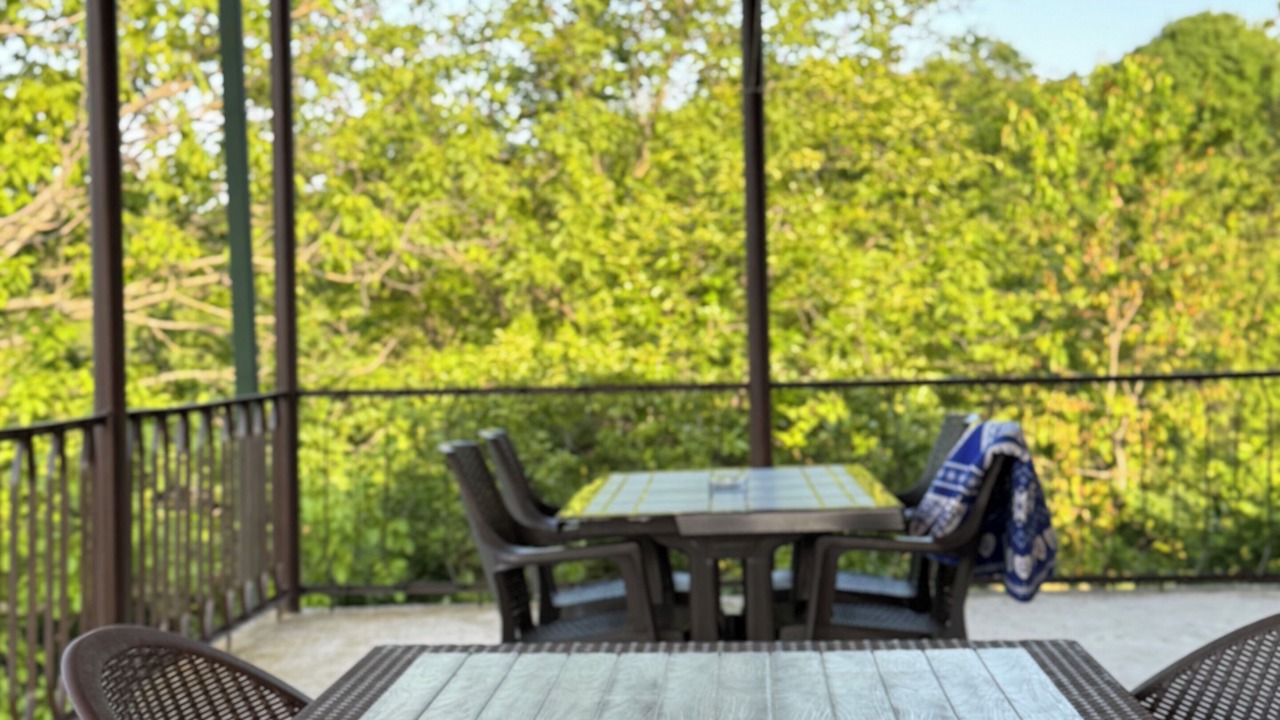 Photo of Patio Balcony in Gurjaani