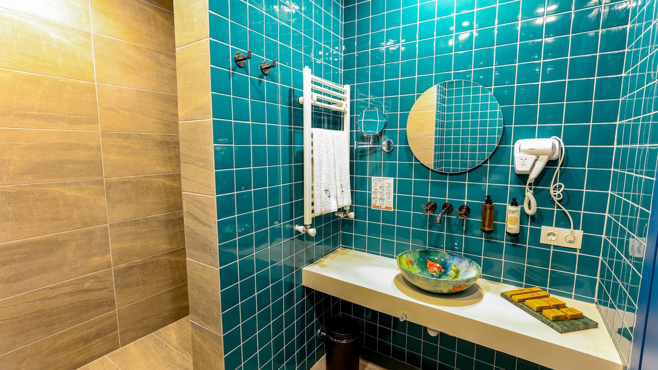 Photo of Bathroom in Telavi