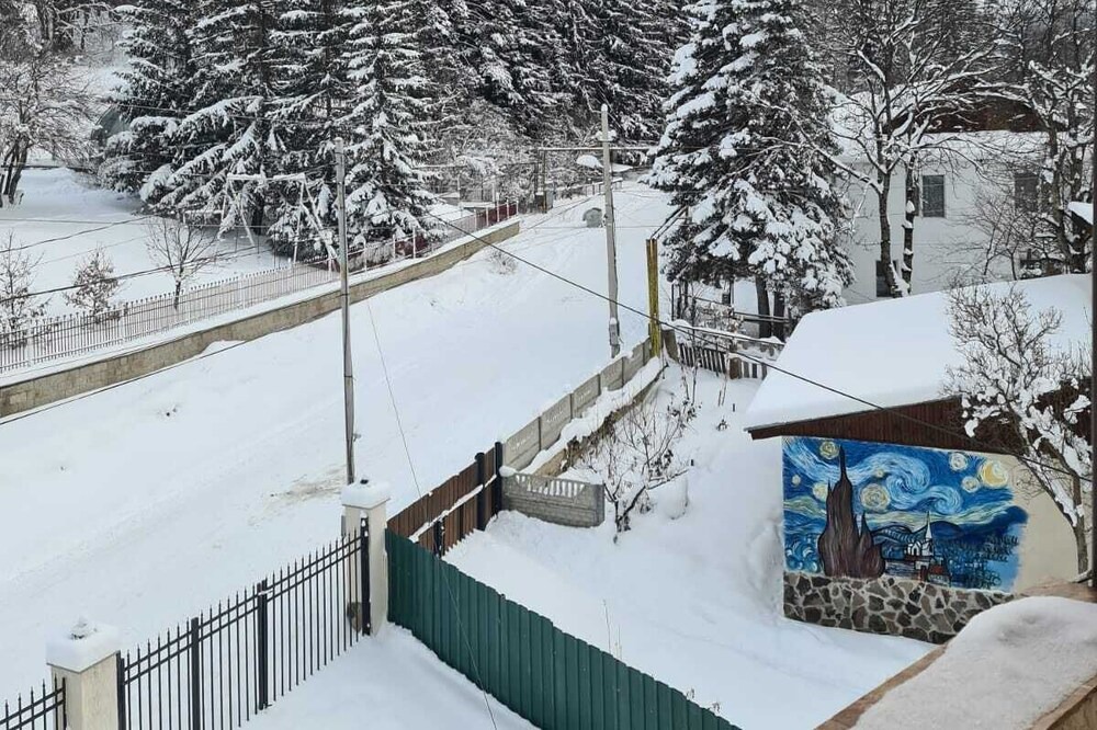 Photo of Others in Bakuriani