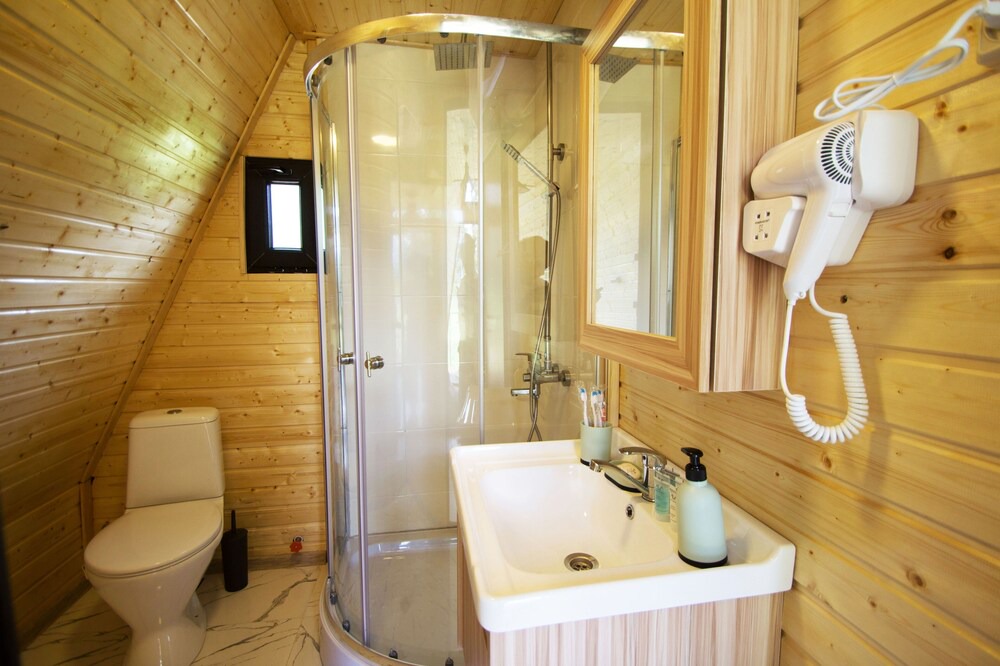 Photo of Bathroom in Bagvdanari