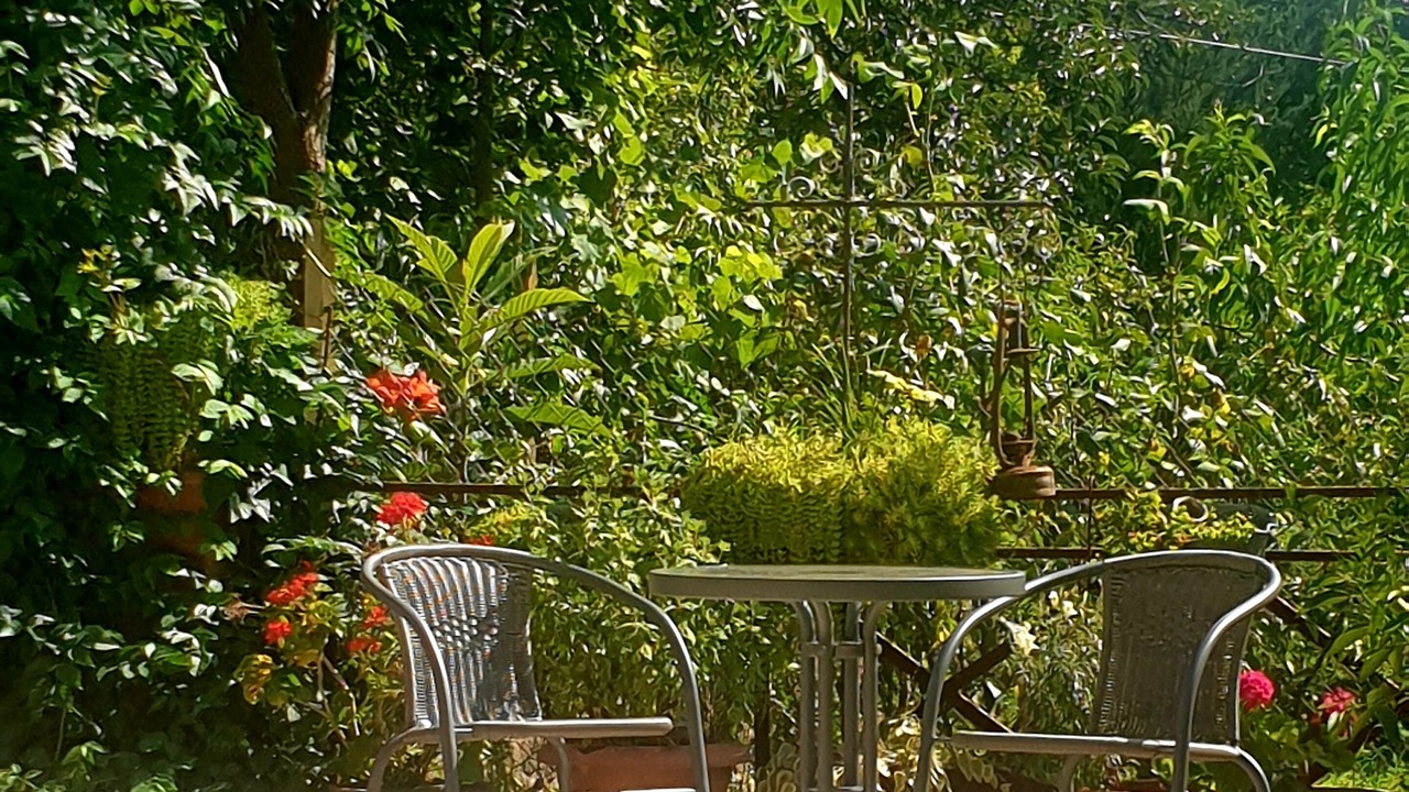 Photo of Patio Balcony in Kutaisi