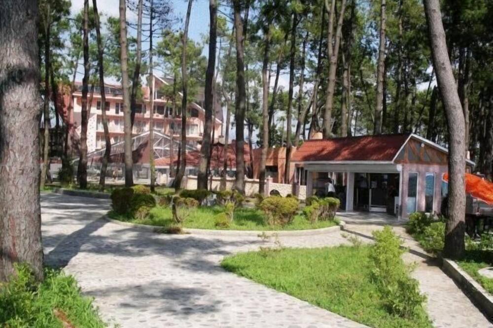 Photo of Outdoor in Poti