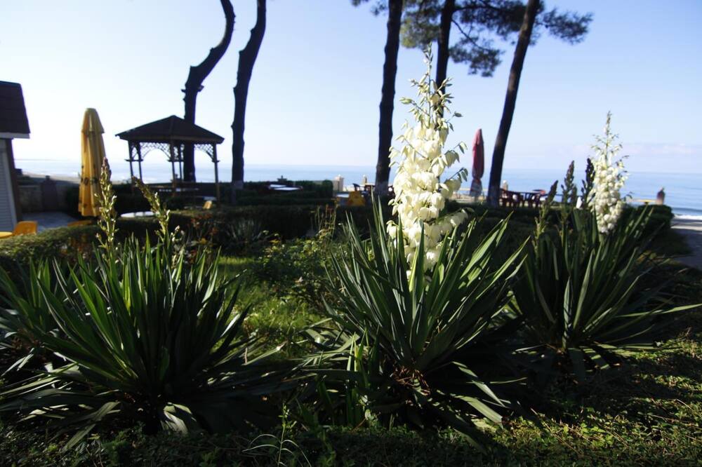 Photo of Outdoor in Poti