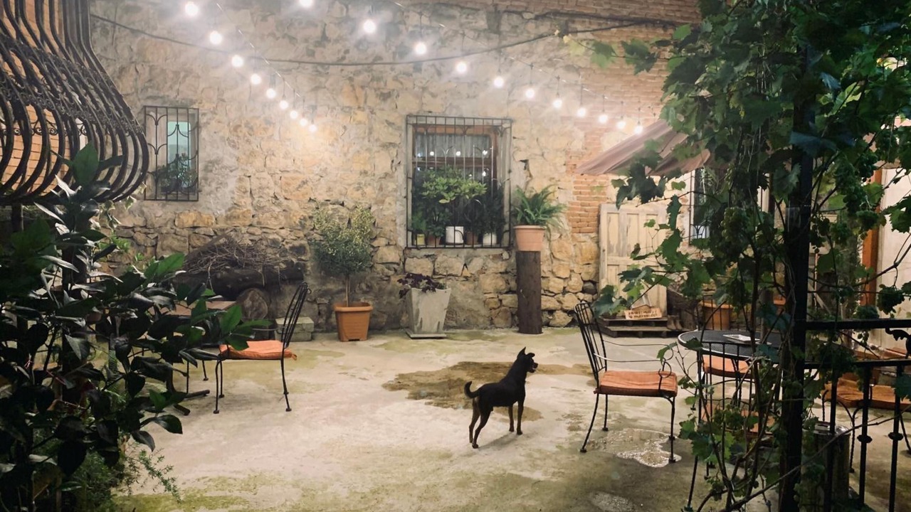 Photo of Outdoor in Kutaisi