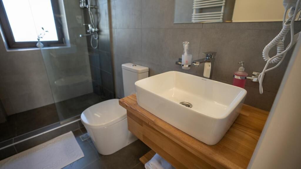 Photo of Bathroom in Telavi