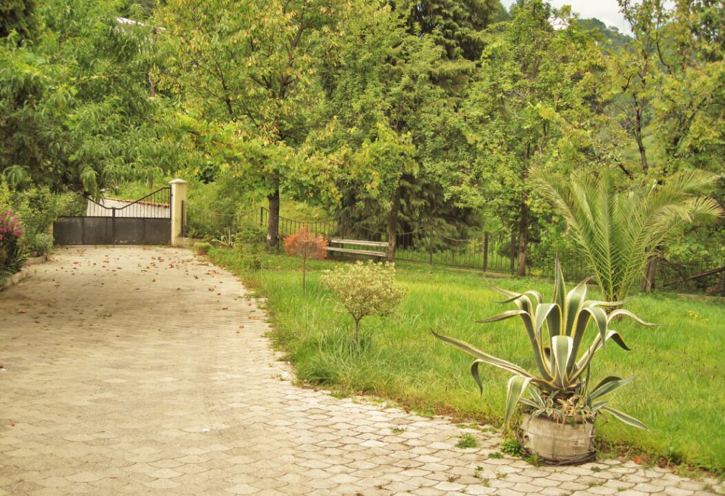 Photo of Outdoor in Gorgadzeebi