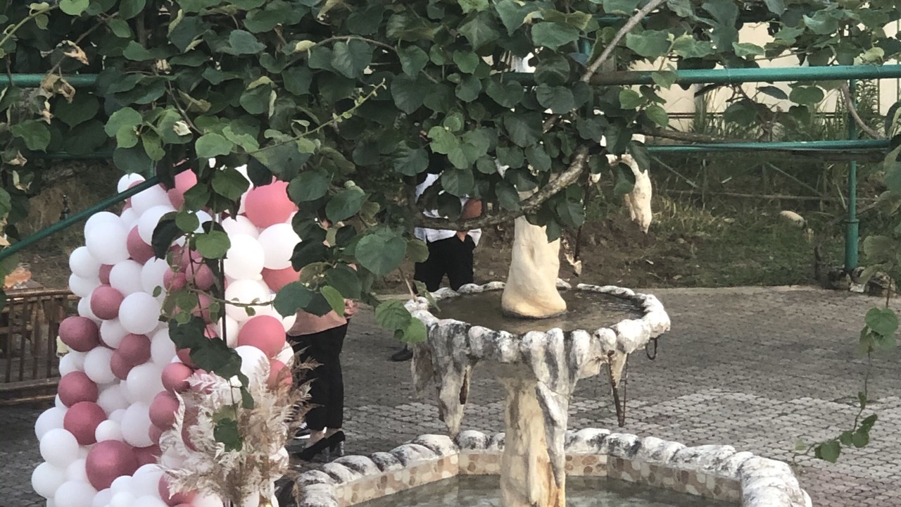 Photo of Outdoor in Kutaisi