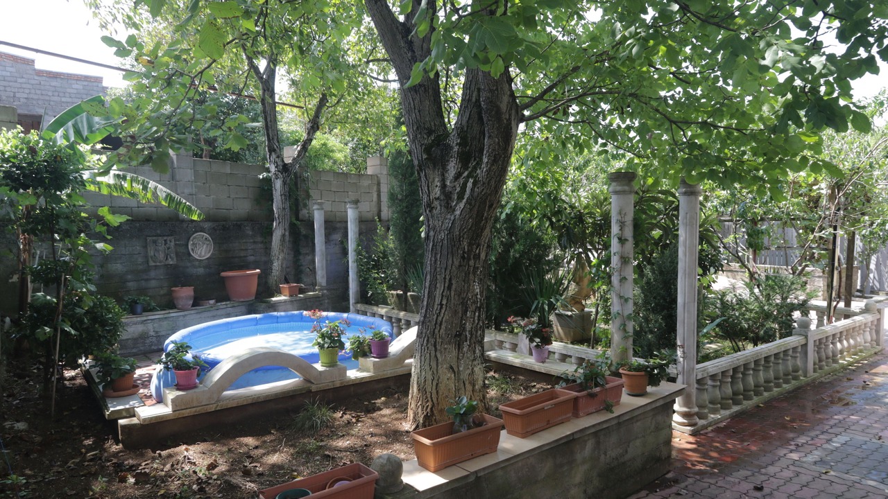 Photo of Outdoor in Kutaisi